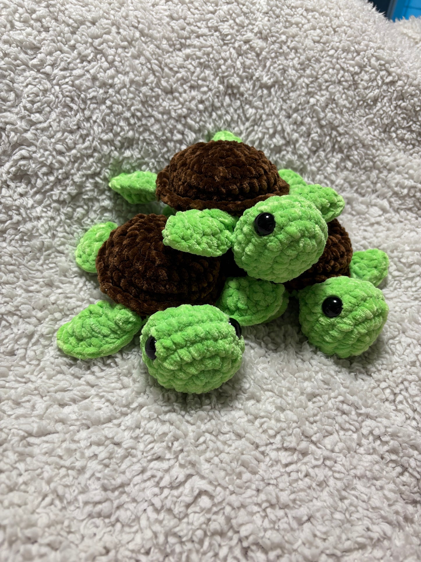 Turtles