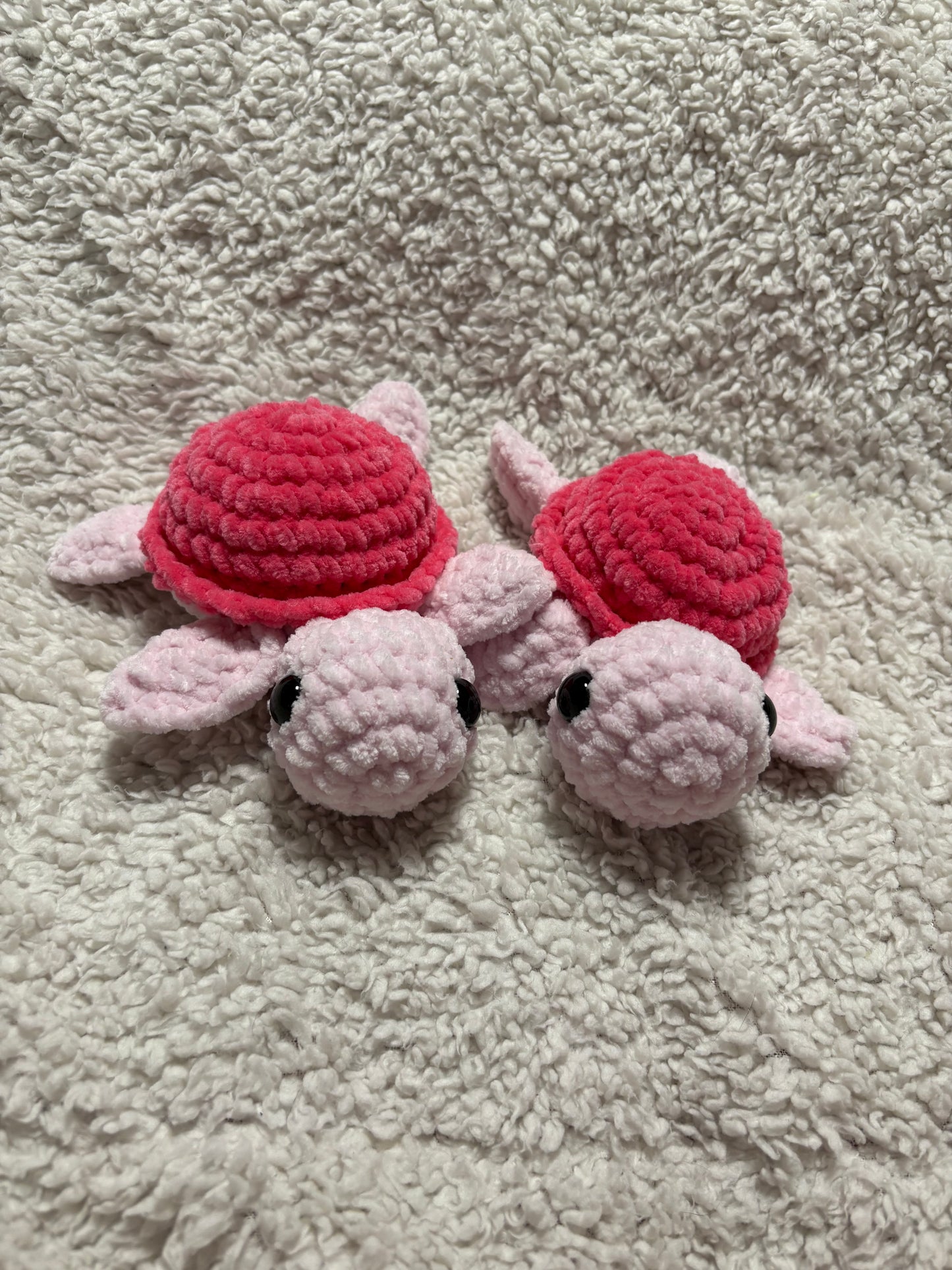 Turtles
