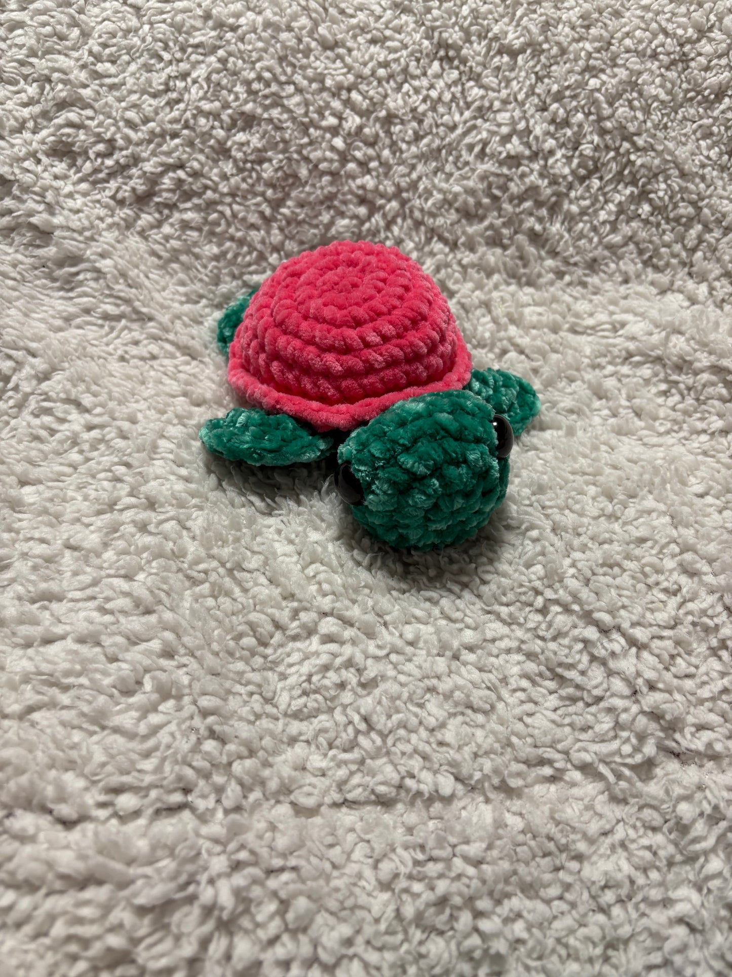 Turtles
