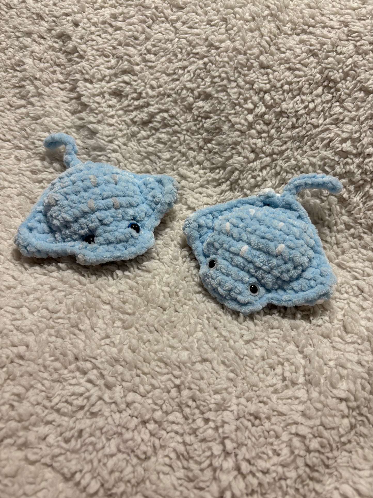 sting rays
