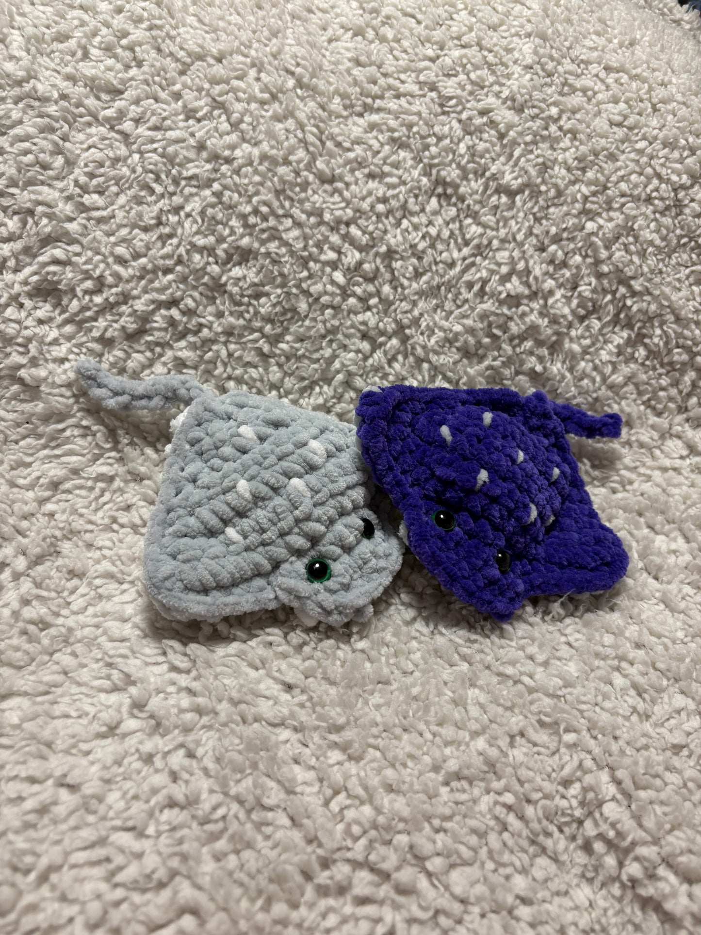 sting rays