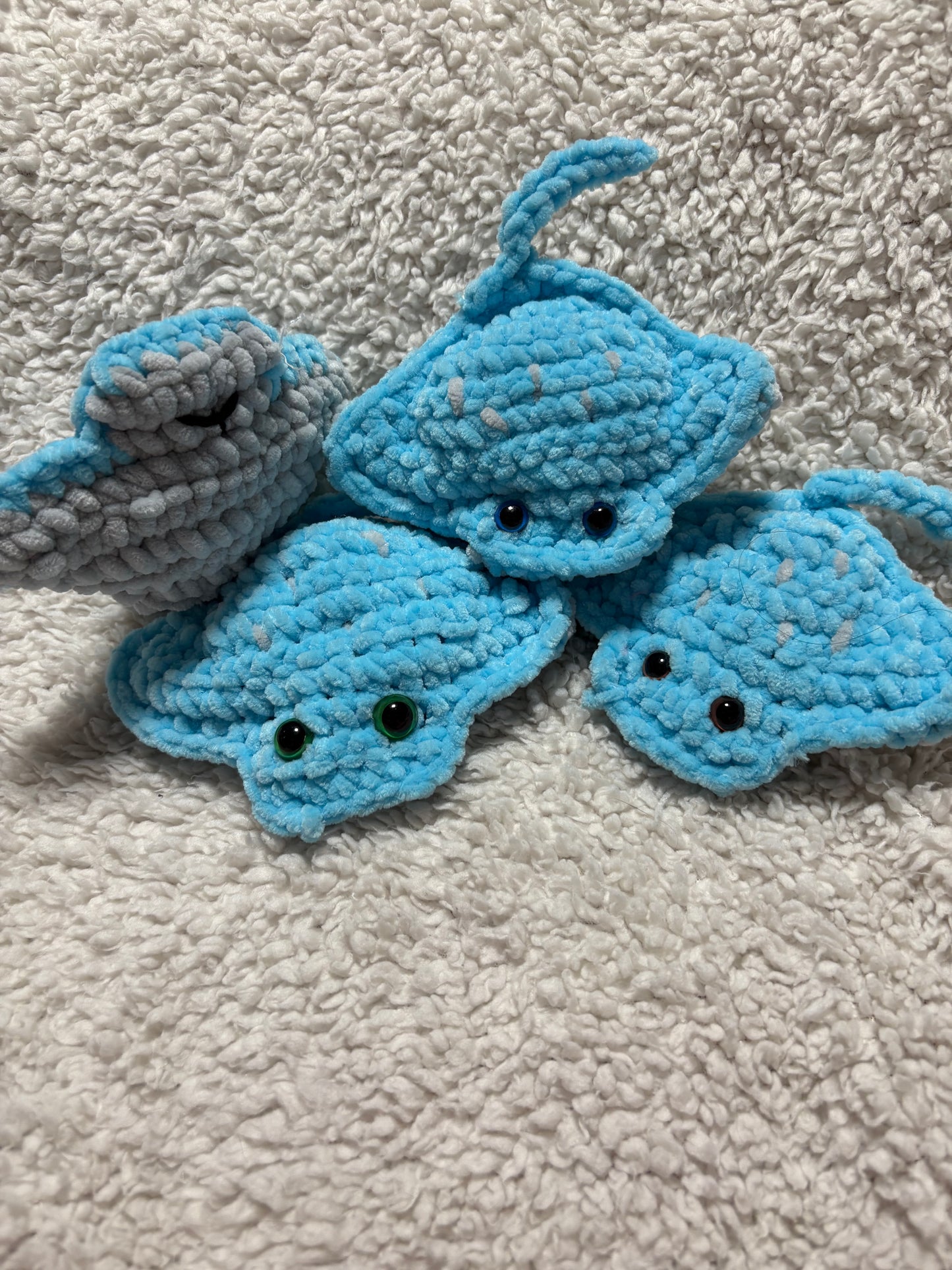 sting rays