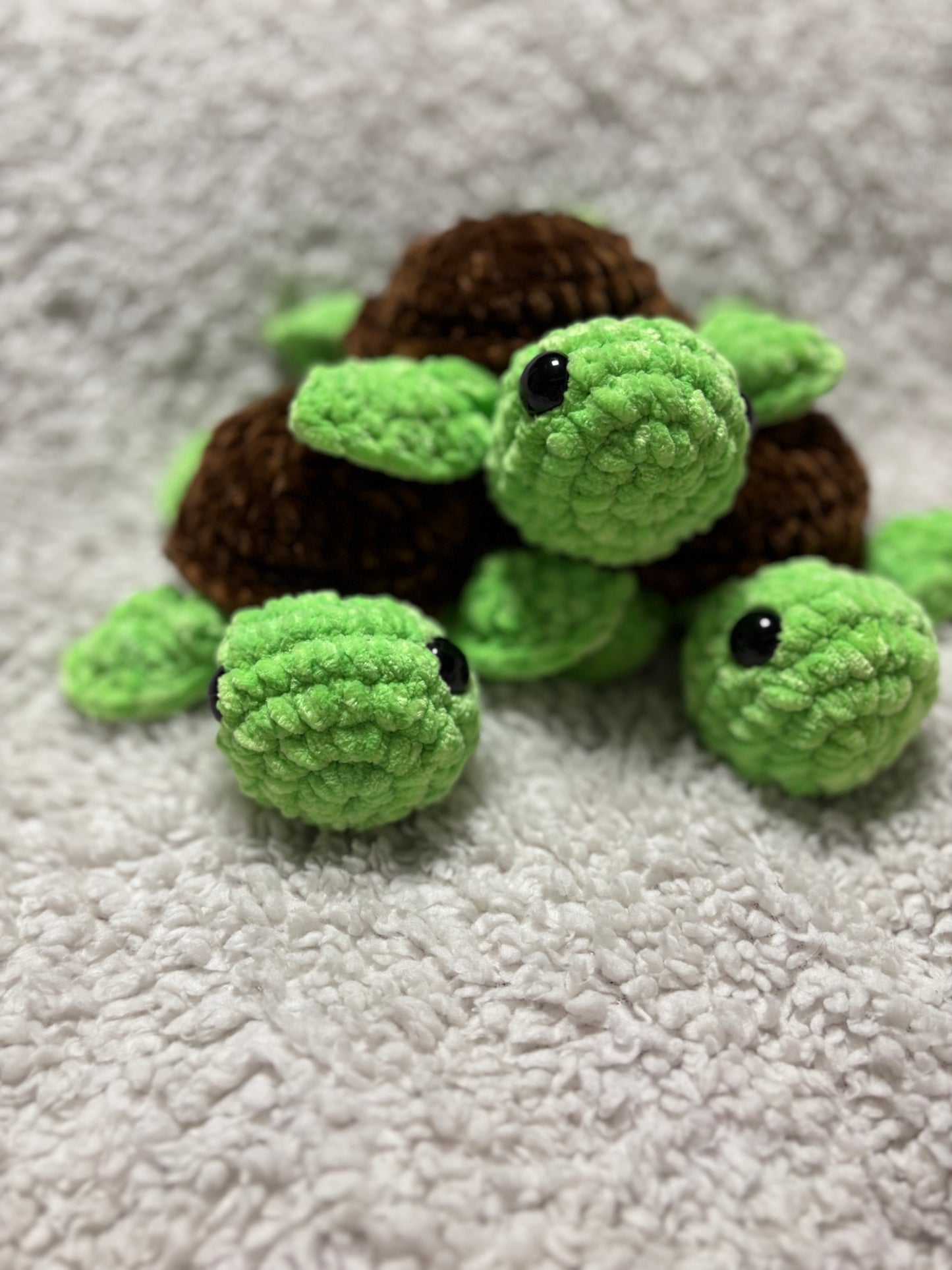 Turtles